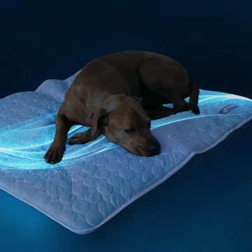 Premium Soğutucu Pet Kilimi