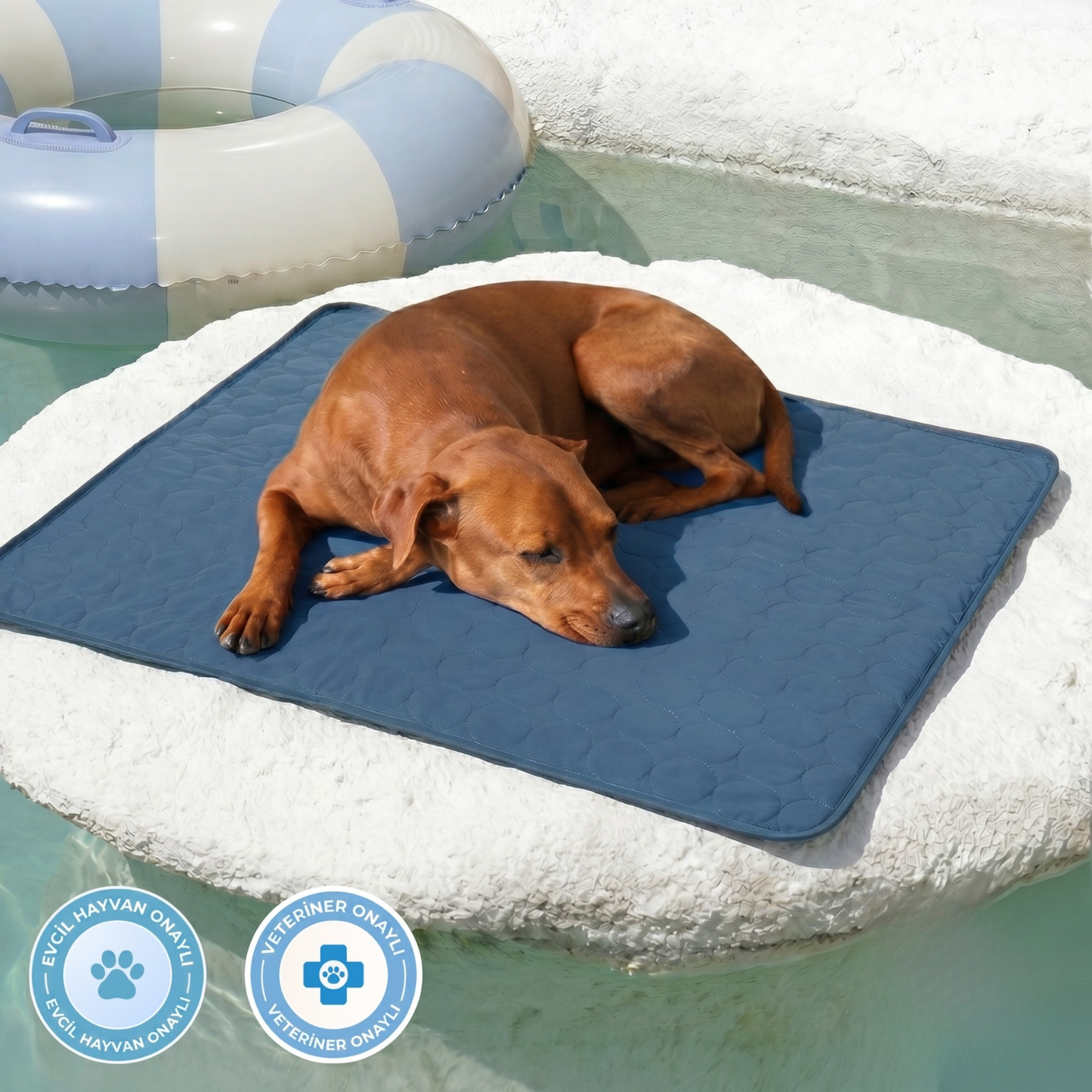 Premium Soğutucu Pet Kilimi