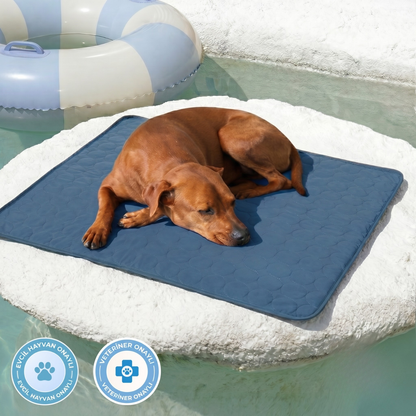 Premium Soğutucu Pet Kilimi